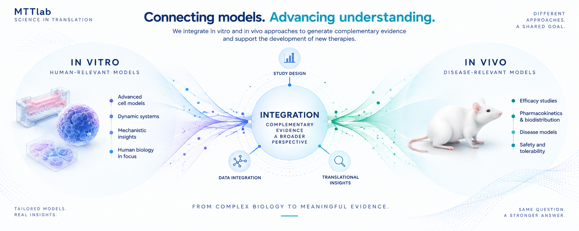 Diagram connecting in vitro and in vivo models through integrated evidence.